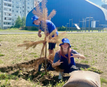 Зеленый эко-движ и синие человечки💙