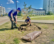 Зеленый эко-движ и синие человечки💙