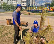 Зеленый эко-движ и синие человечки💙